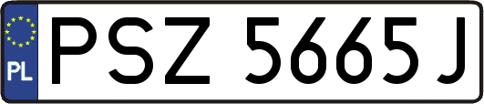 PSZ5665J