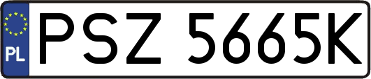 PSZ5665K