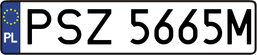 PSZ5665M