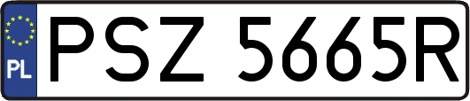 PSZ5665R