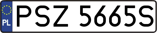 PSZ5665S