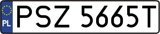 PSZ5665T