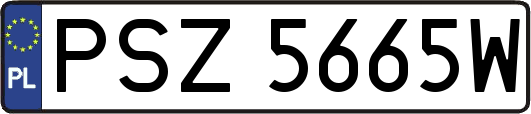 PSZ5665W