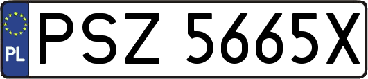 PSZ5665X