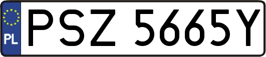 PSZ5665Y