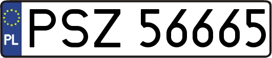 PSZ56665
