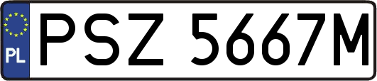 PSZ5667M