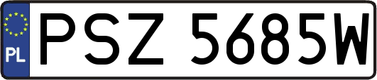 PSZ5685W