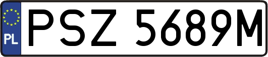 PSZ5689M