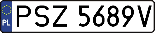 PSZ5689V