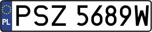 PSZ5689W