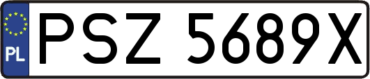 PSZ5689X