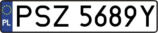 PSZ5689Y