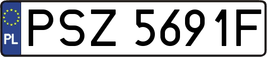 PSZ5691F