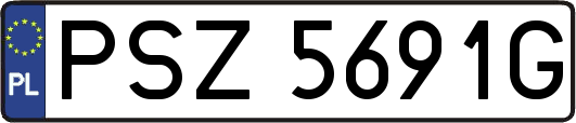 PSZ5691G