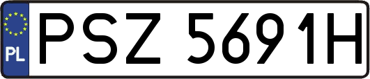 PSZ5691H
