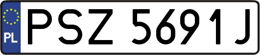 PSZ5691J