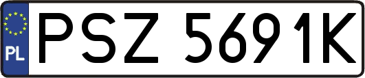 PSZ5691K