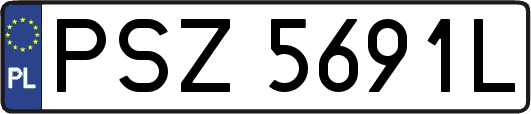 PSZ5691L