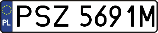 PSZ5691M