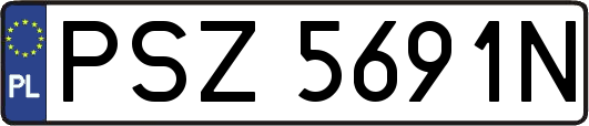 PSZ5691N