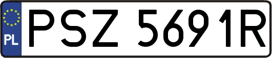PSZ5691R