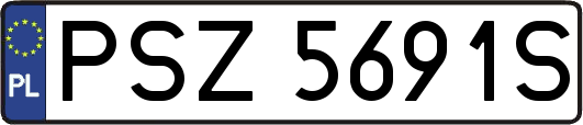 PSZ5691S