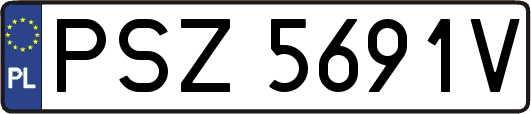 PSZ5691V