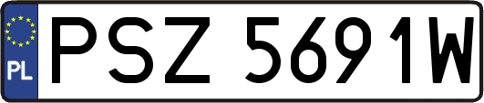 PSZ5691W