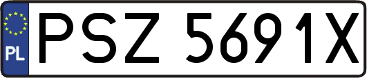 PSZ5691X
