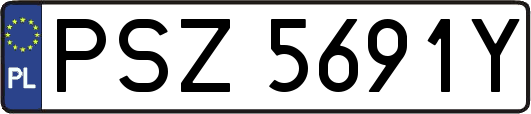 PSZ5691Y