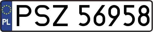 PSZ56958