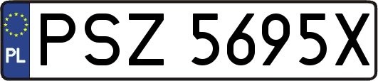 PSZ5695X