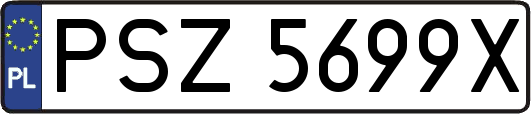 PSZ5699X