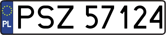 PSZ57124