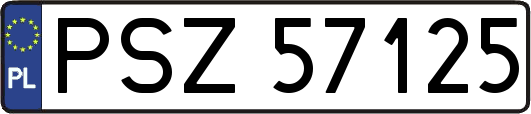 PSZ57125