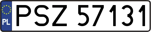 PSZ57131