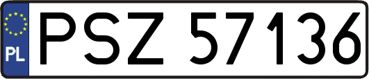 PSZ57136