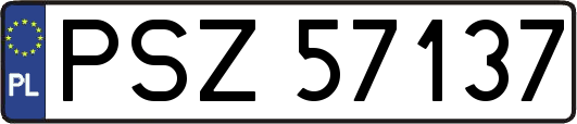 PSZ57137