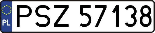 PSZ57138