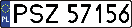 PSZ57156