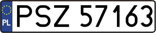 PSZ57163