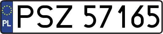 PSZ57165