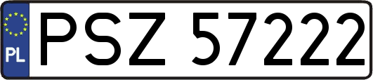 PSZ57222