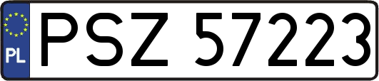 PSZ57223
