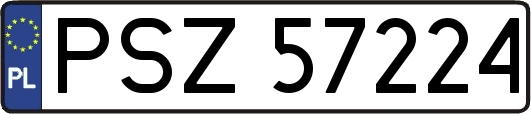PSZ57224