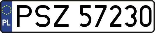 PSZ57230