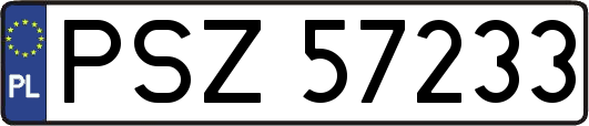 PSZ57233