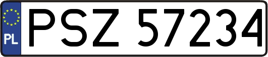 PSZ57234