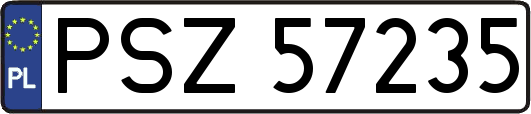 PSZ57235
